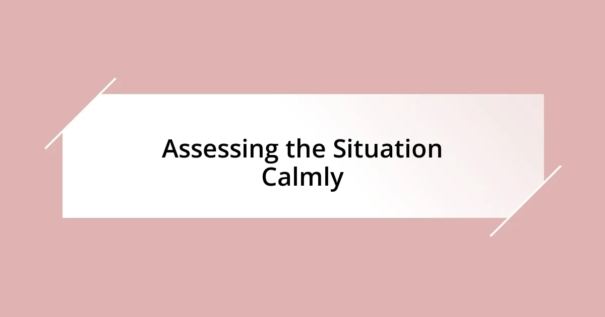 Assessing the Situation Calmly